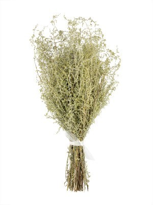 Букет полыни