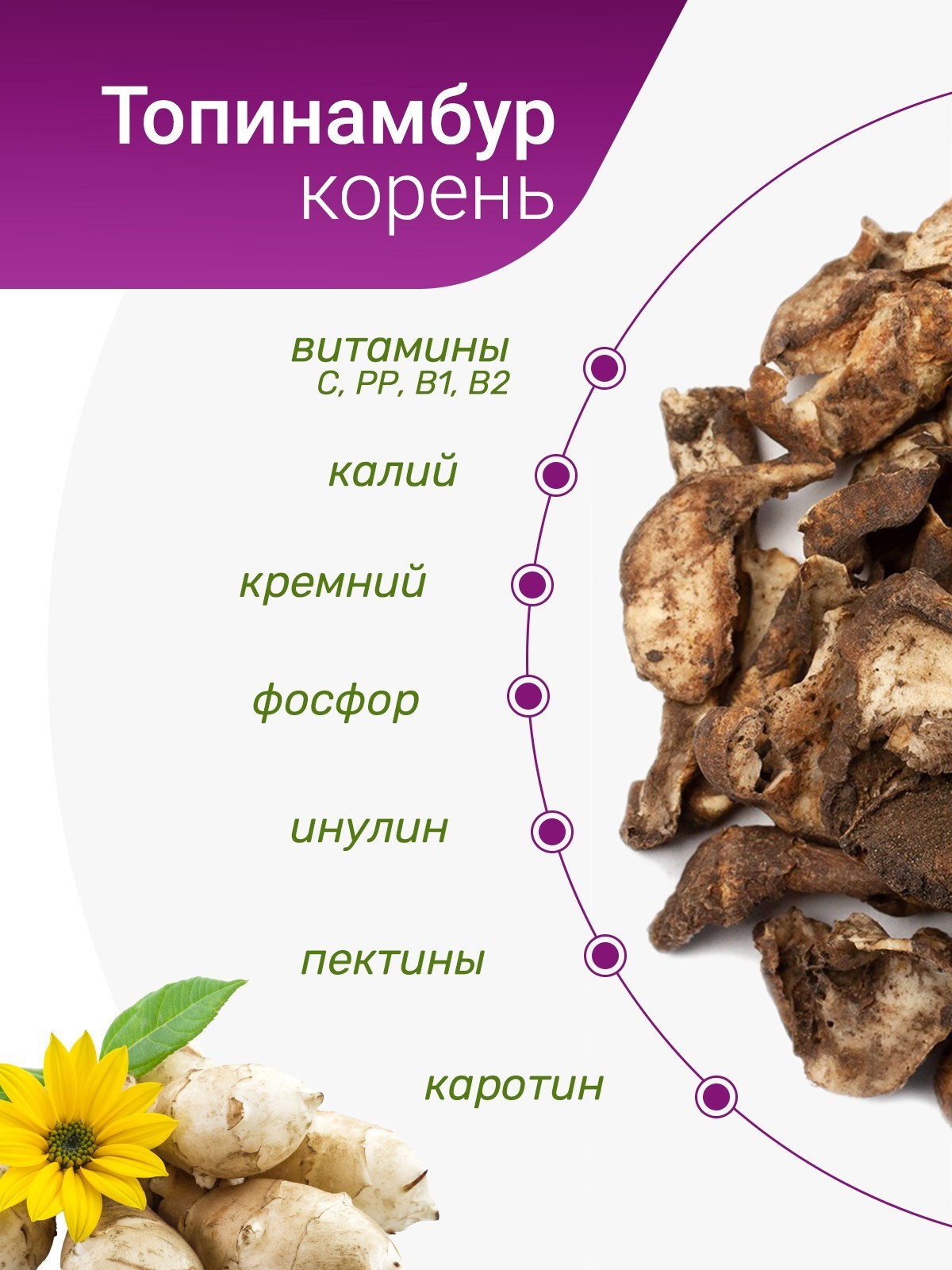 Топинамбур корень - купить лечебные травы недорого в интернет-магазине  «Травы Горного Крыма»