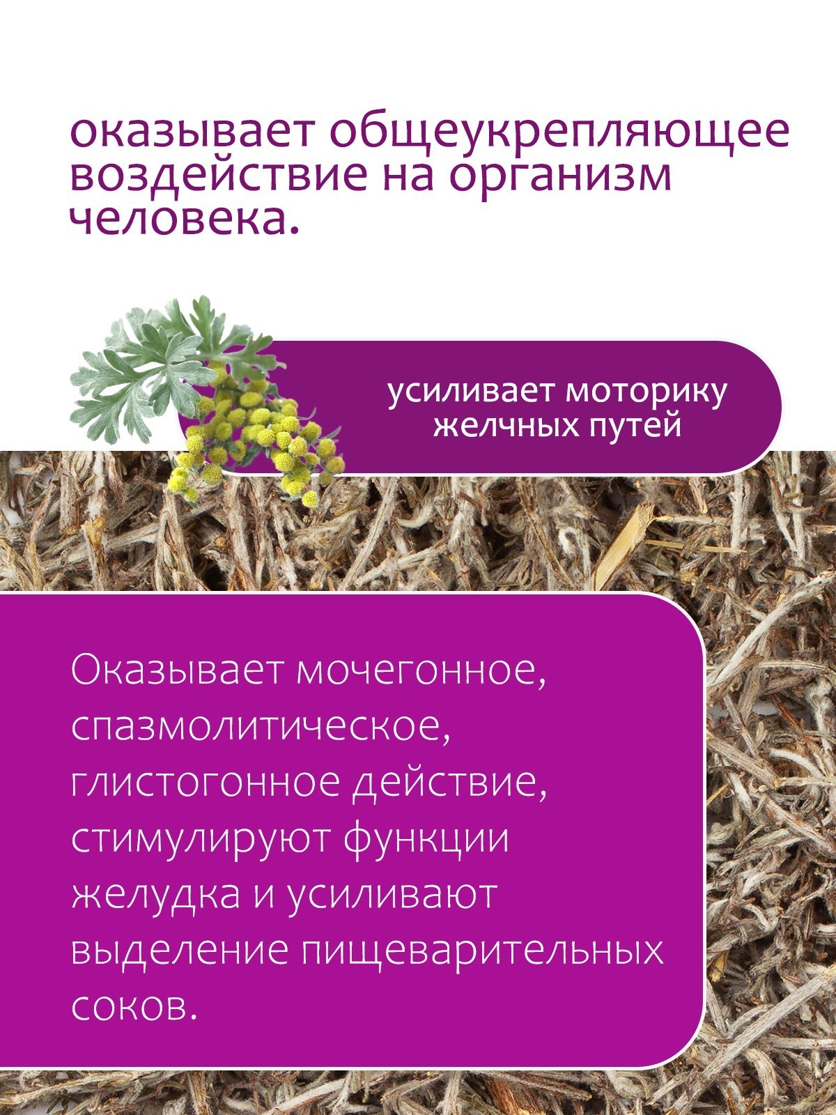 Полынь горькая - купить Крымские травы недорого в интернет-магазине «Травы  Горного Крыма»