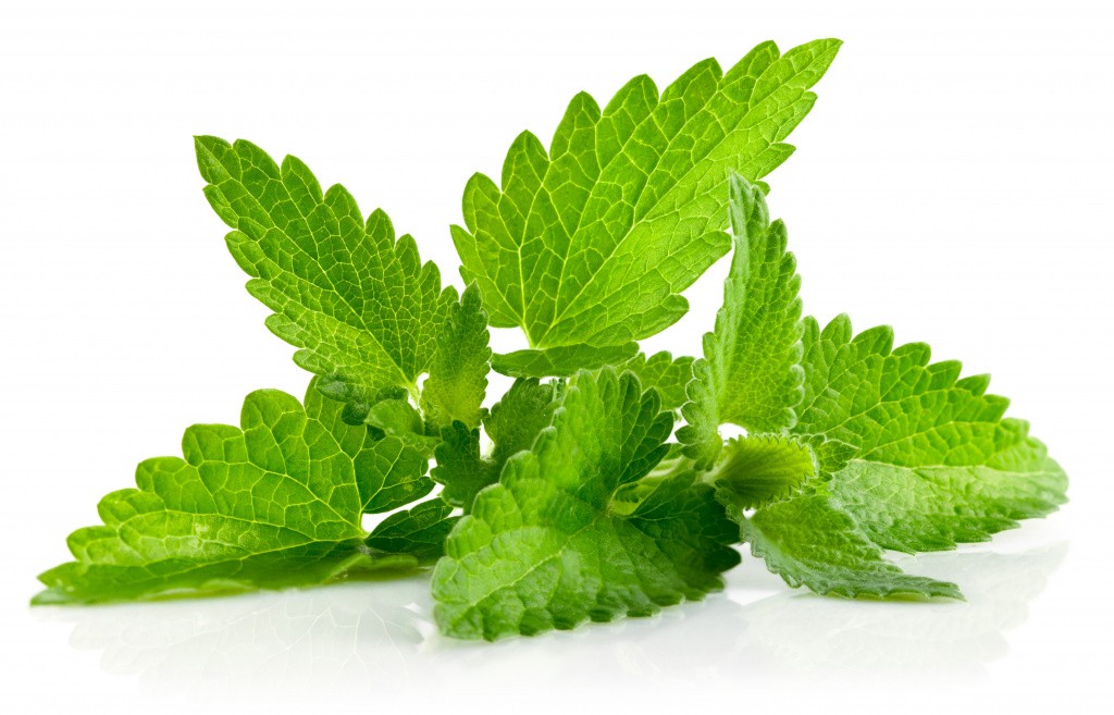 shutterstock_81395899.jpg