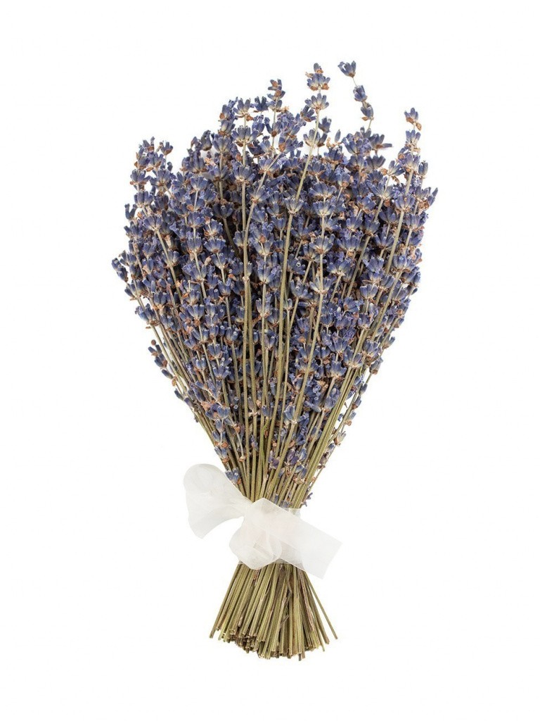 Lavanda_buket_2.jpg Lavanda_buket_2.jpg
