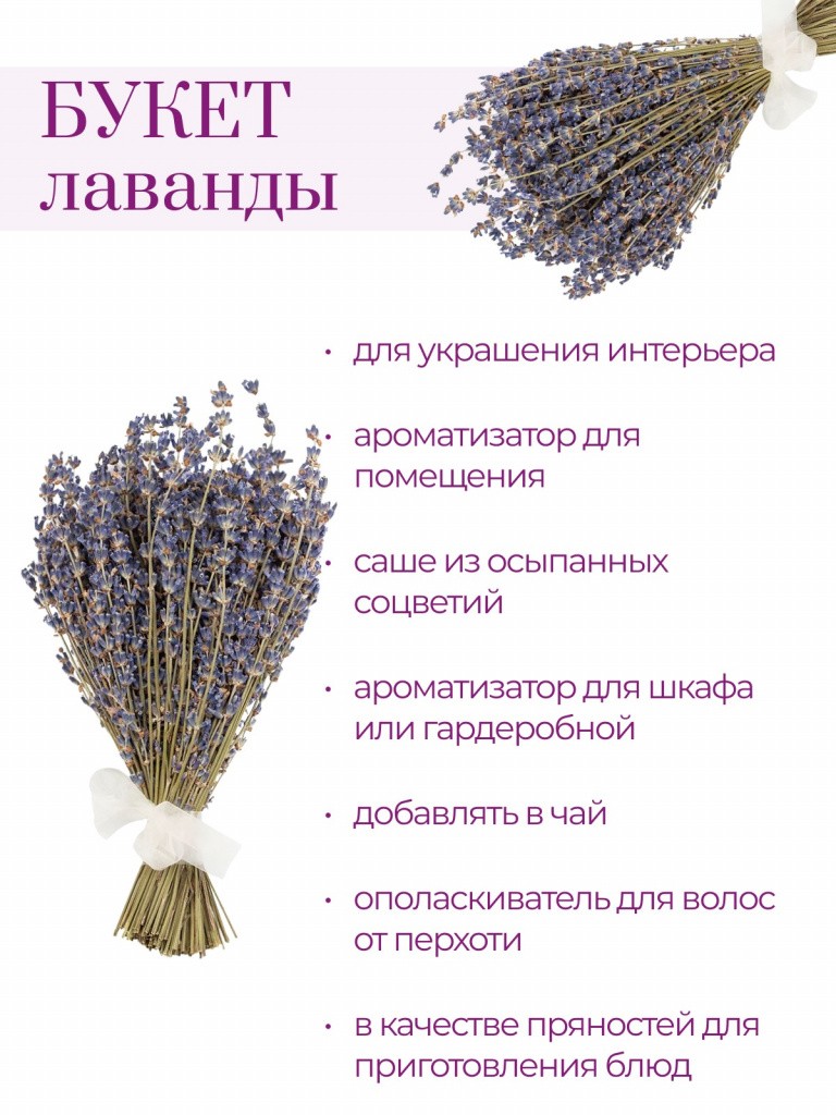 lavandovyy-buket-vb-_1_.jpg lavandovyy-buket-vb-_1_.jpg