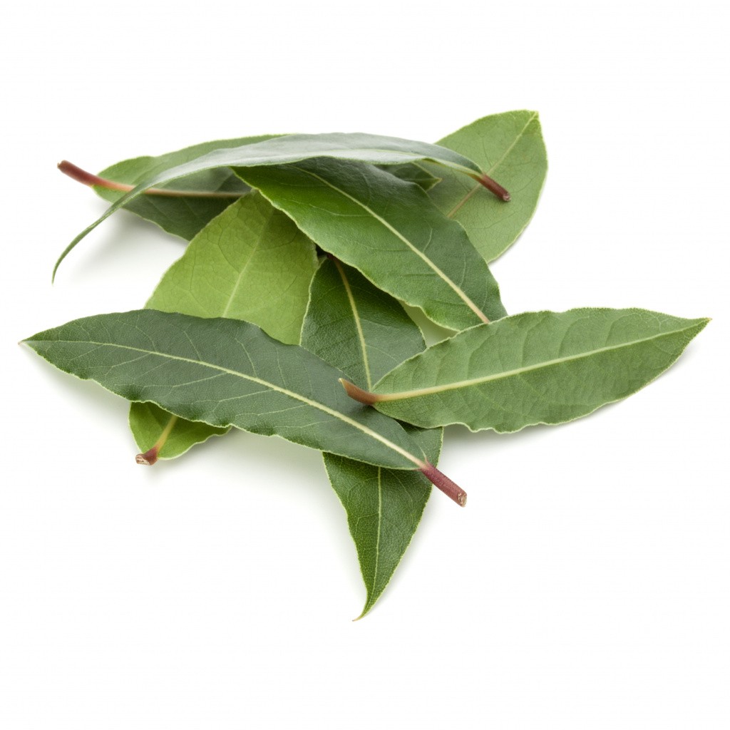 shutterstock_1010953927.jpg