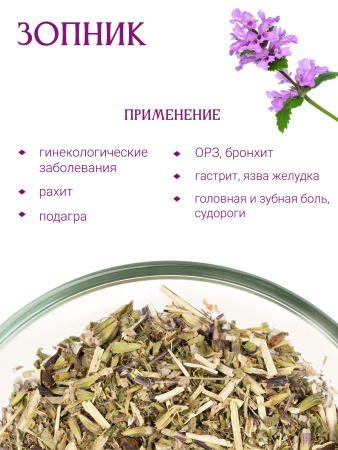 Зопник клубненосный