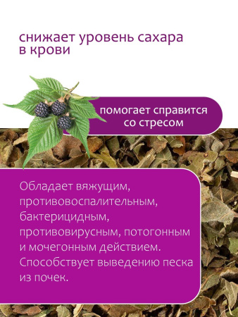 Ежевики лист