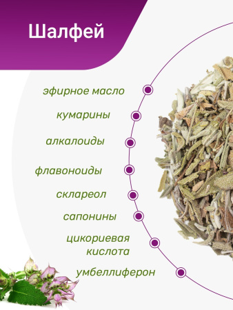 Шалфей в пирамидках