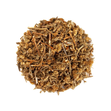 Тысячелистник