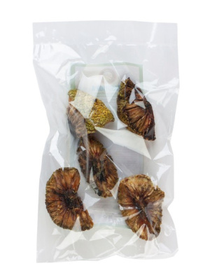 Маклюра (Адамово яблоко)