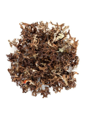 Исландский мох