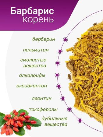 Барбарис (корень)