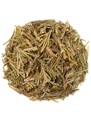 Пихтовая лапка