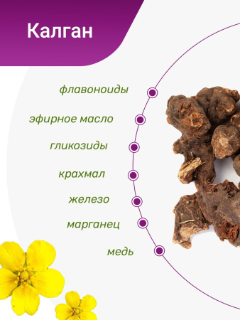 Калган (корень)