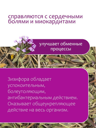 Зизифора пахучковидная