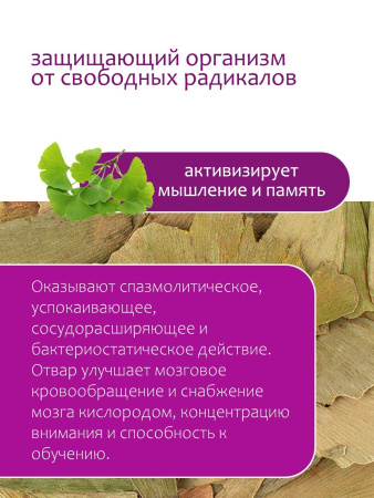 Гинкго билоба