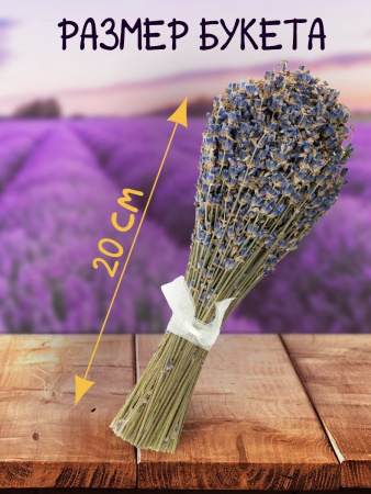Букет лаванды мини