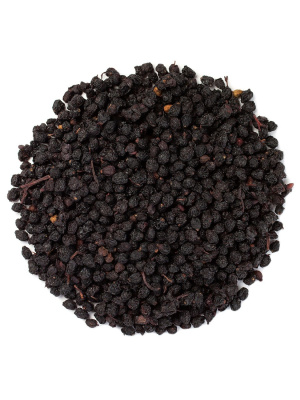 Ягоды бузины черной