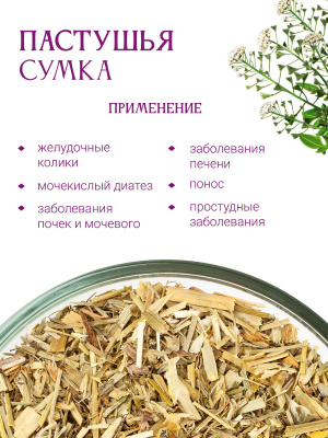 Пастушья сумка