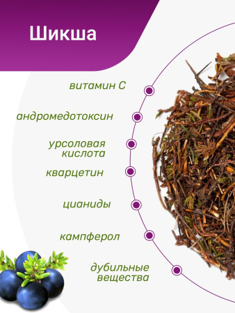 Шикша (побеги)