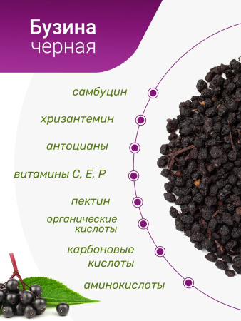 Бузина черная плоды