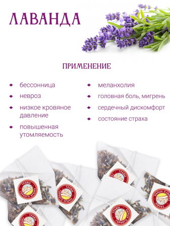 Лаванда в пирамидках