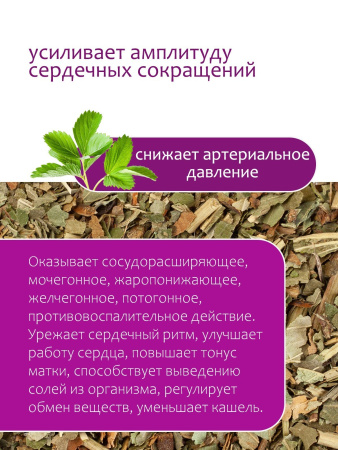 Земляника лист