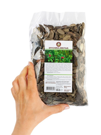 Брусника лист