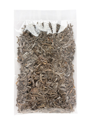 Ламинарии слоевища