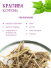 Крапива корень