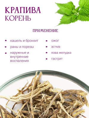 Крапива корень