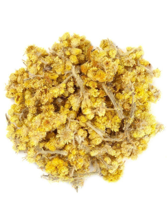 Бессмертник