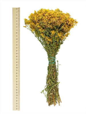 Букет зверобоя