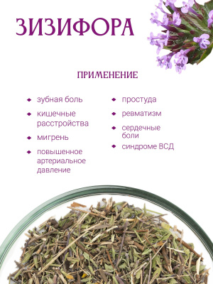 Зизифора пахучковидная