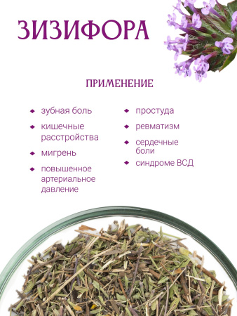 Зизифора пахучковидная