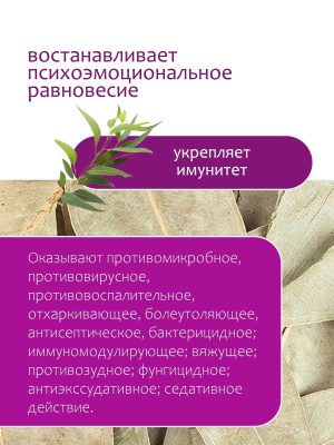 Эвкалипт