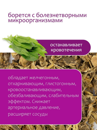 Конский щавель