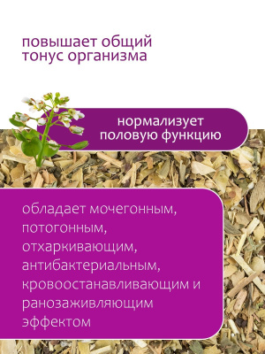 Ярутка полевая