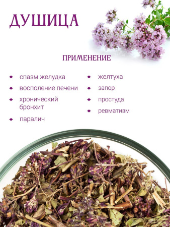 Душица