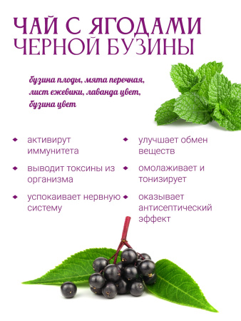 Чай с ягодами черной бузины