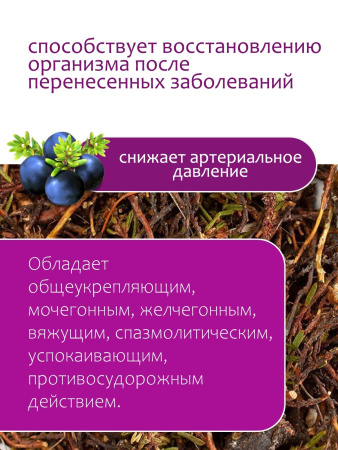 Шикша (побеги)