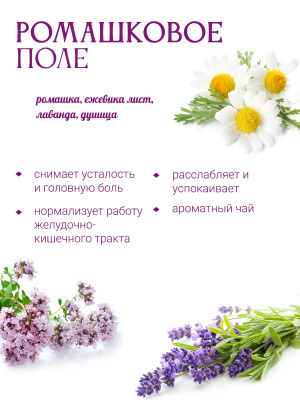 Ромашковое поле