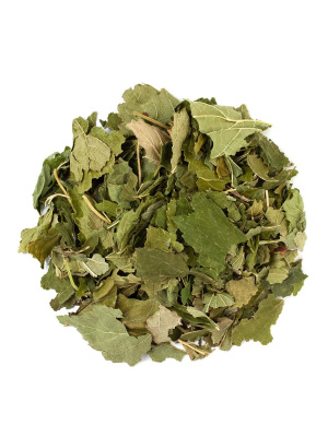 Лист черной смородины