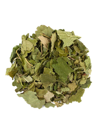 Лист черной смородины