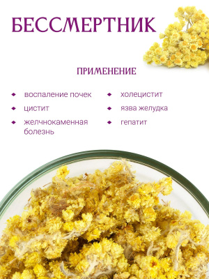 Бессмертник