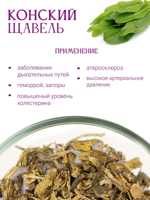 Конский щавель