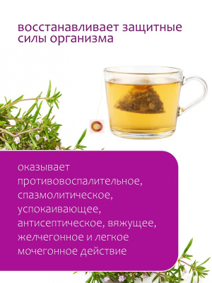 Чабрец в пирамидках