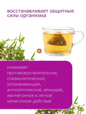 Чабрец в пирамидках