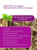 Крапива корень
