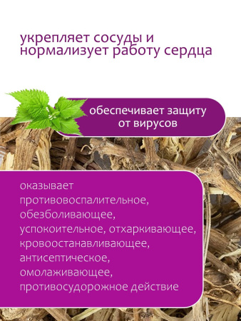 Крапива корень