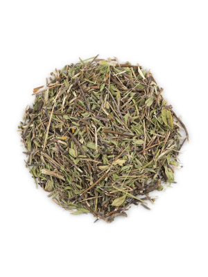 Зизифора пахучковидная