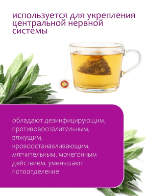 Шалфей в пирамидках